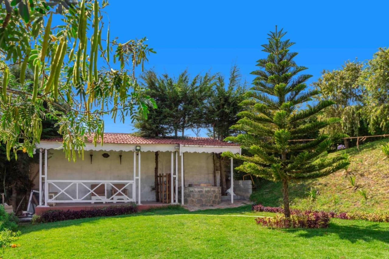 Pine View Stay Ooty Kültér fotó